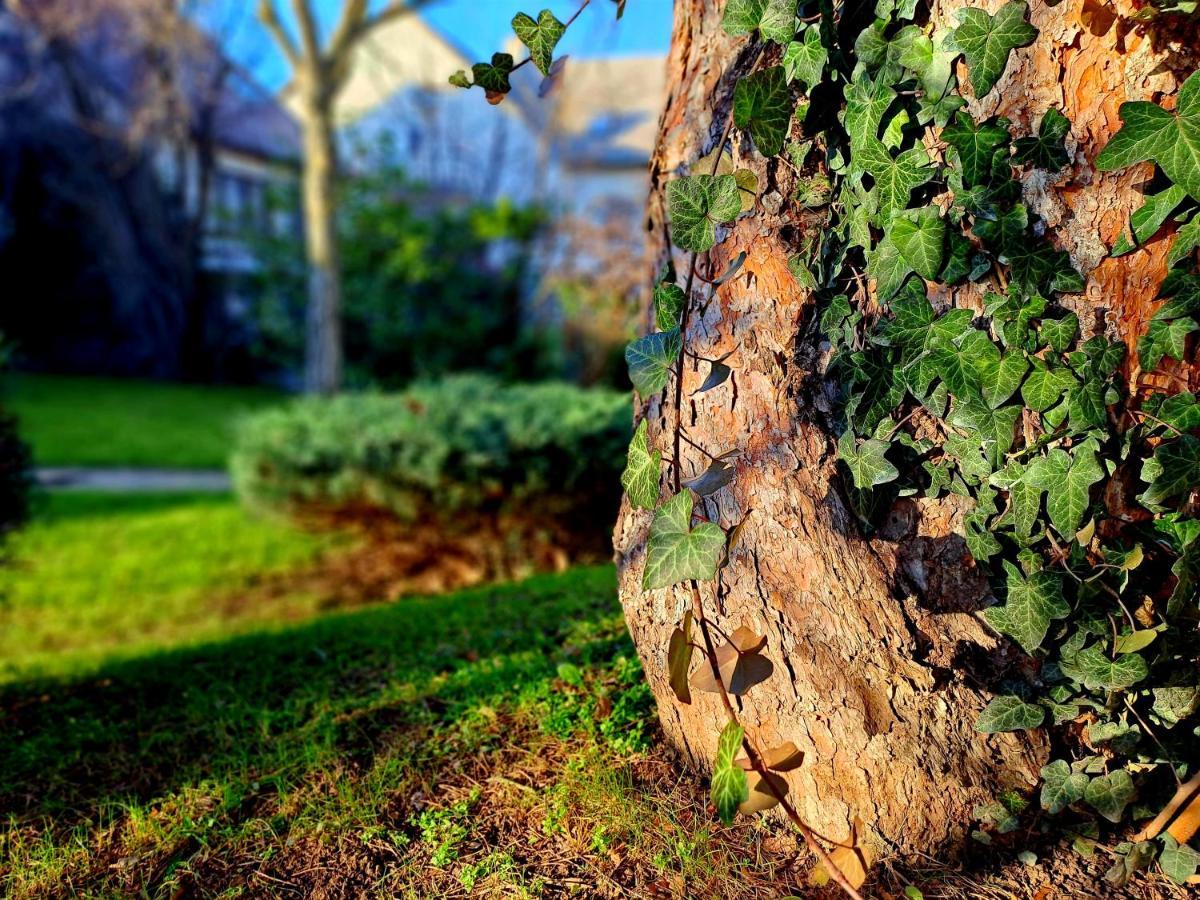 Fuege Villa Luxury & Wellness Balatonfured Bagian luar foto