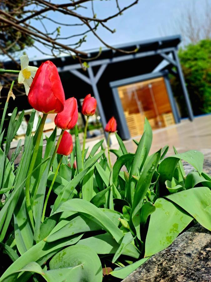 Fuege Villa Luxury & Wellness Balatonfured Bagian luar foto